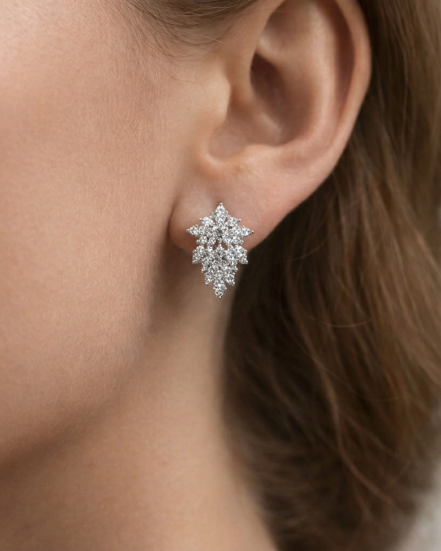 Crystal Frost Earrings