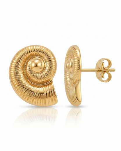 Golden sea Shell Earrings