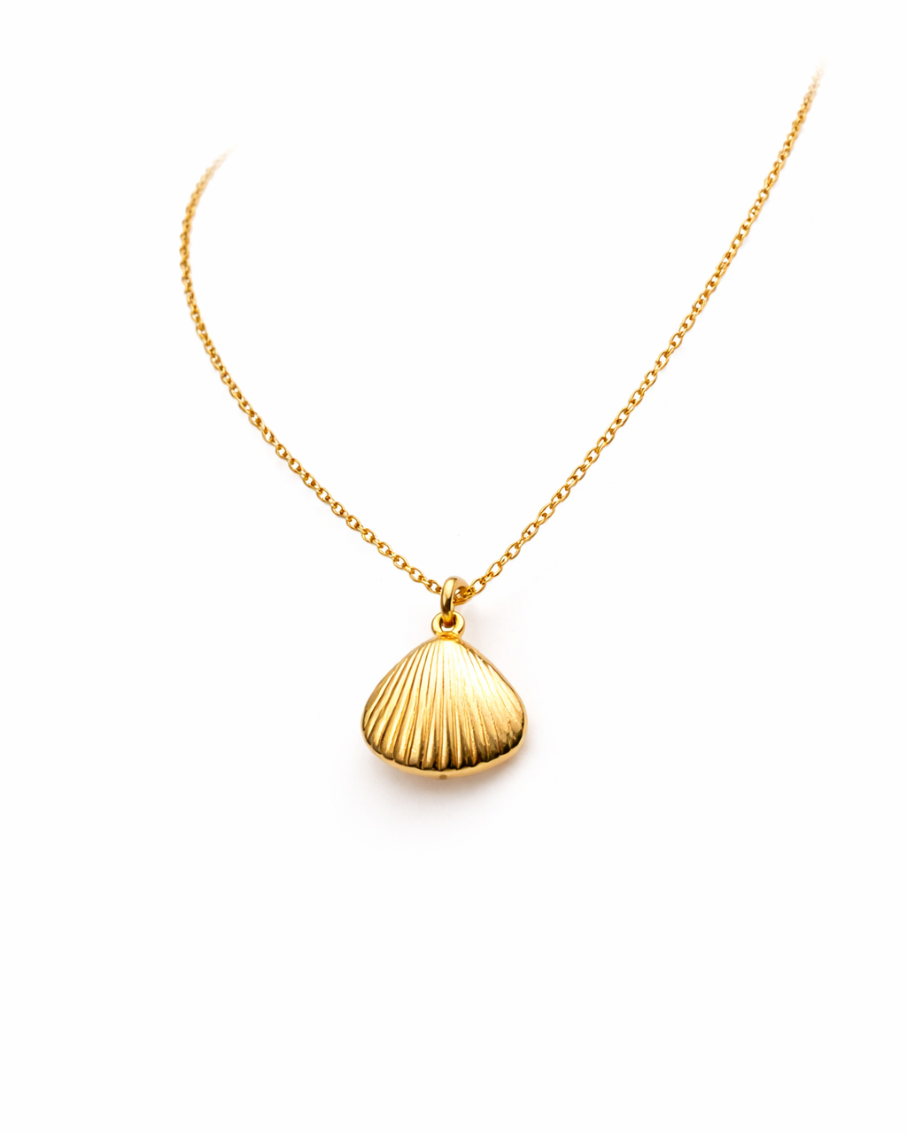 Gold necklace with a shell pendant on a white background