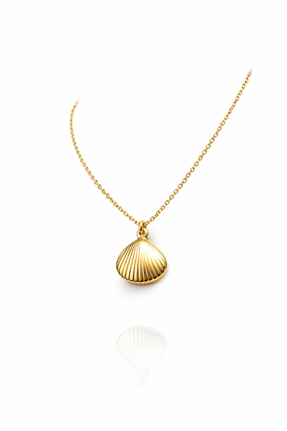 Golden shell Necklace