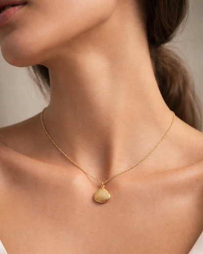 Golden shell Necklace